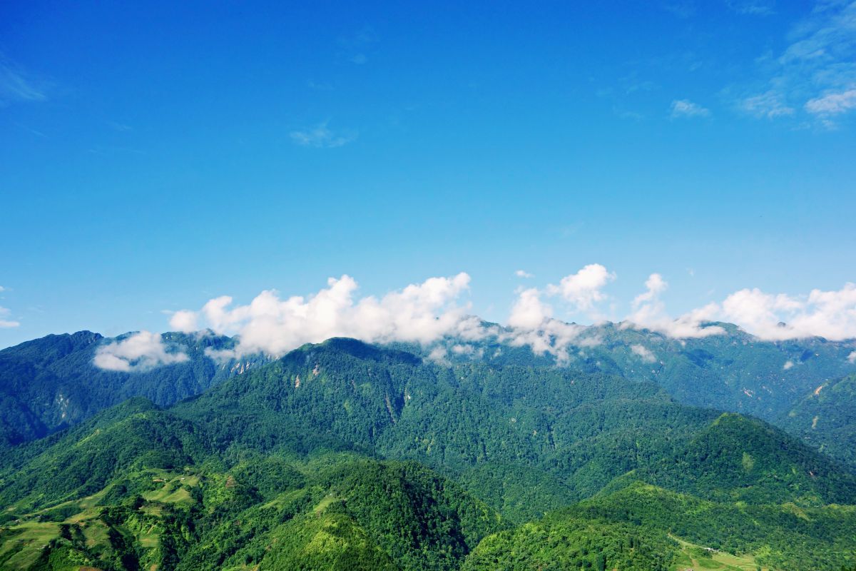 Sapa Sunrise